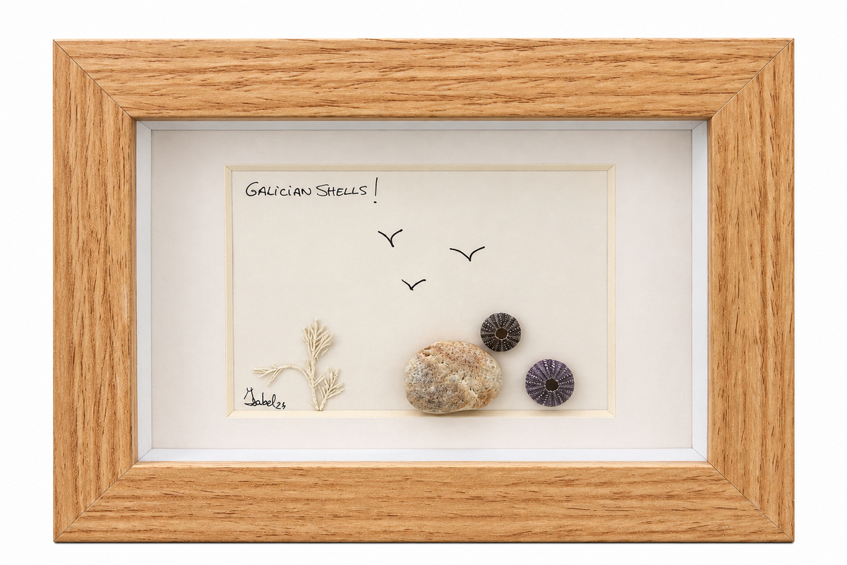 Cuadro Galician Shells con composición marina en relieve, aves dibujadas y marco de tono madera